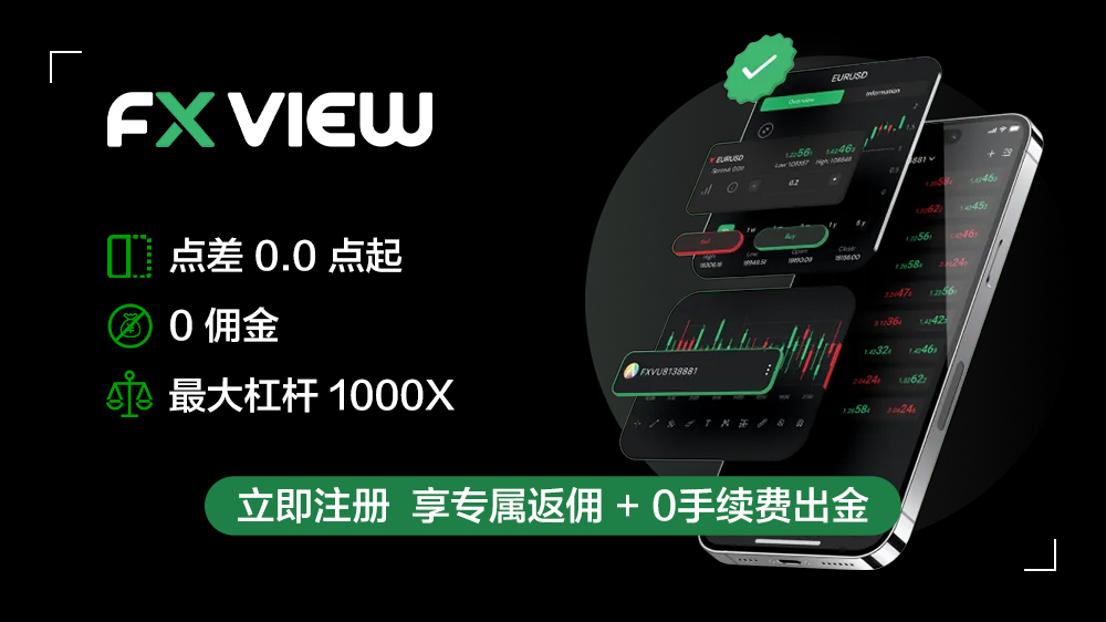 FXview的详细介绍与返佣概览