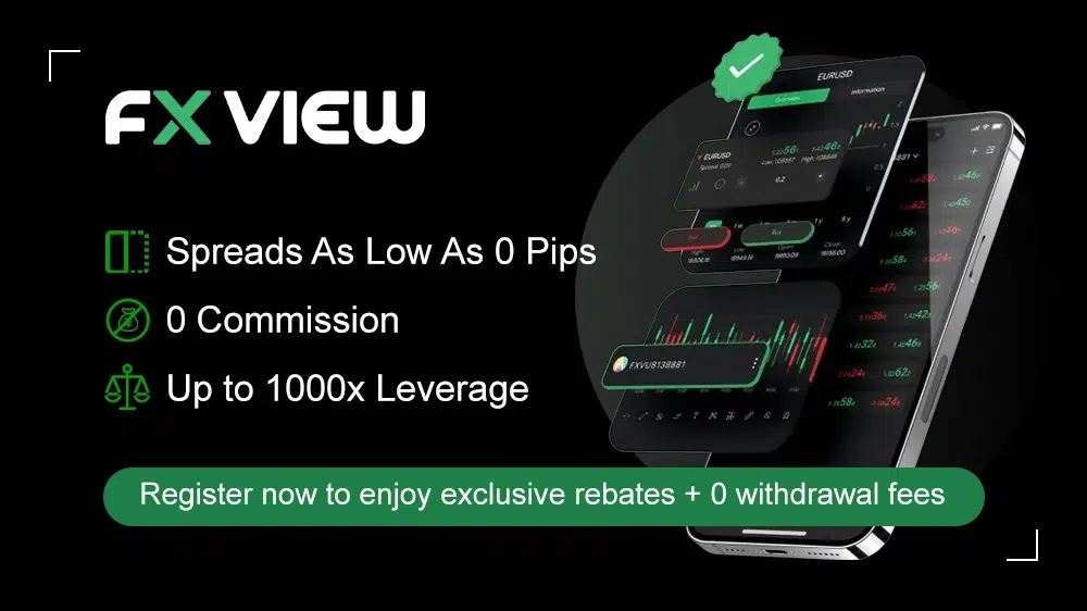 Detailed Introduction and Rebate Overview of FXview